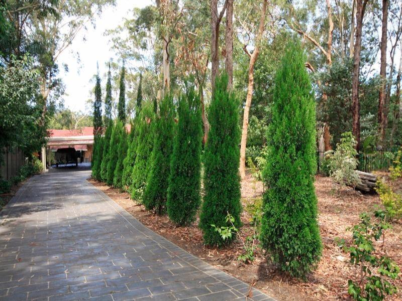 148 St George Crescent, Sandy Point NSW 2172