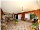 12 Leavesden Place, Kangaroo Point NSW 2224