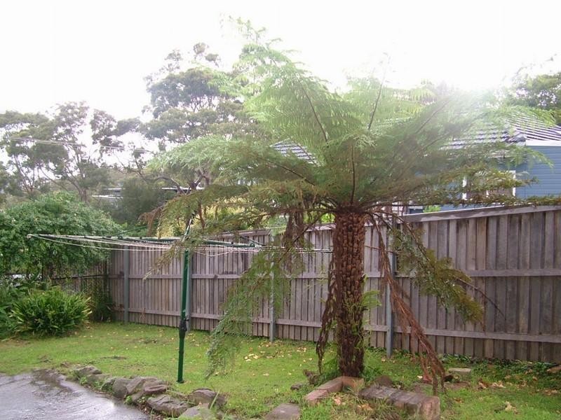 Stanwell Tops NSW 2508