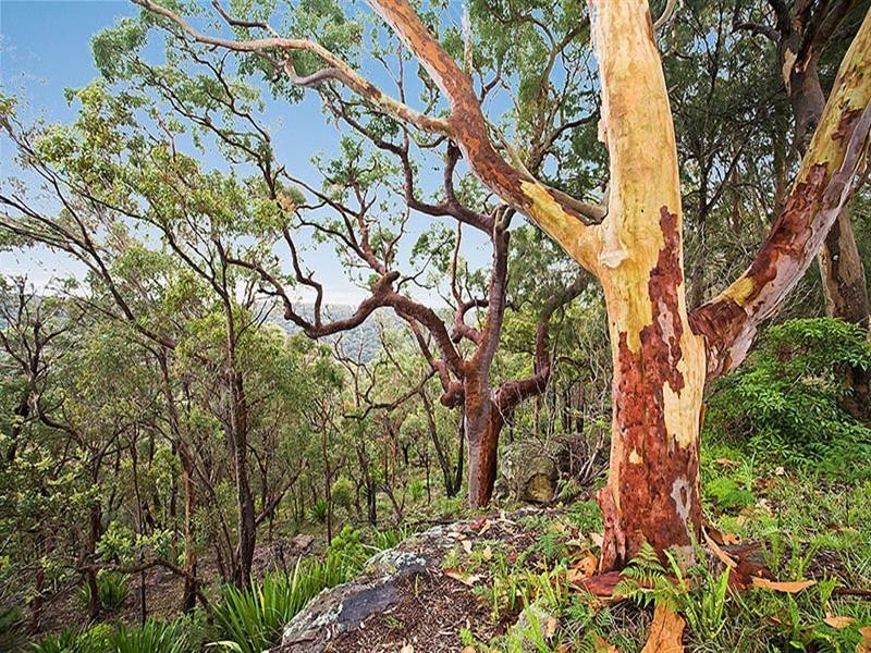 33 Holmlea Place, Engadine NSW 2233