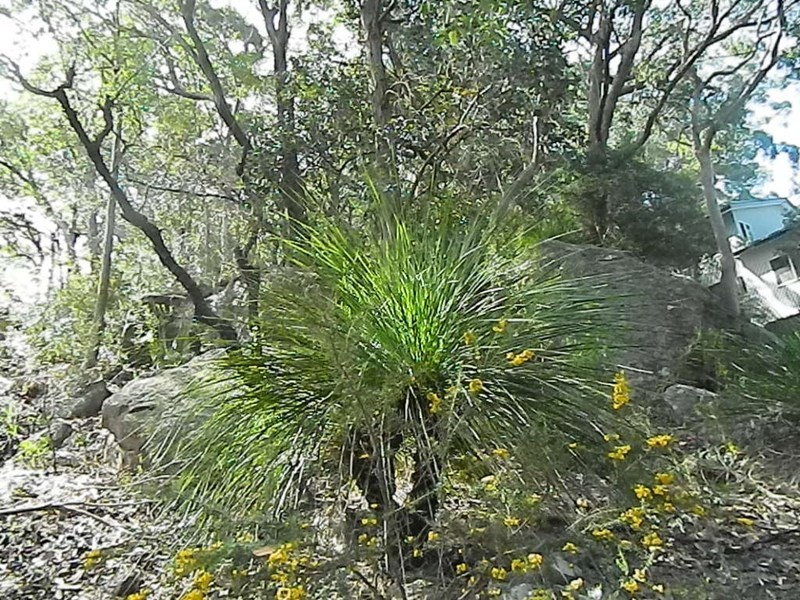 74 Monastir Road, Phegans Bay NSW 2256