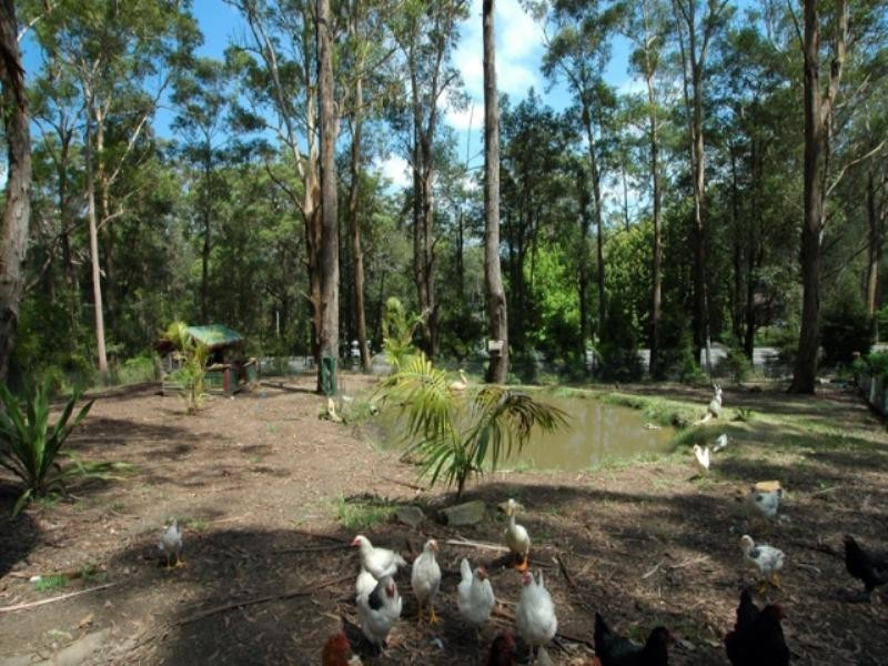 73 Empire Bay Drive, Bensville NSW 2251