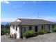 Terrigal NSW 2260