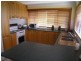 Terrigal NSW 2260