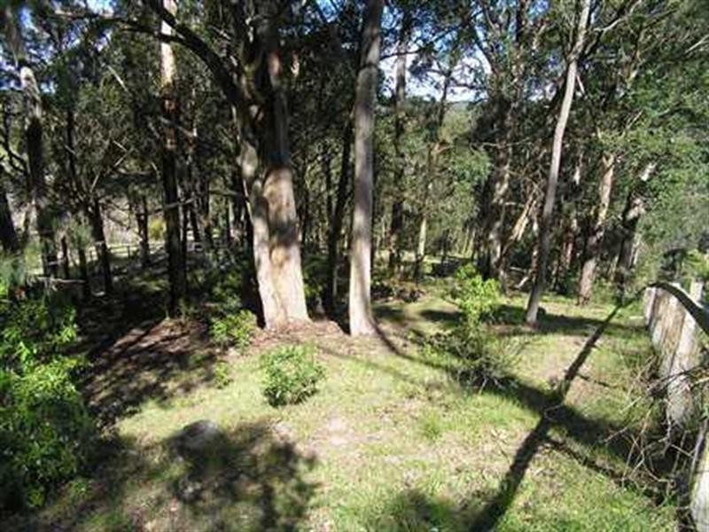 Lot 1/430 Avoca Drive, Green Point NSW 2251