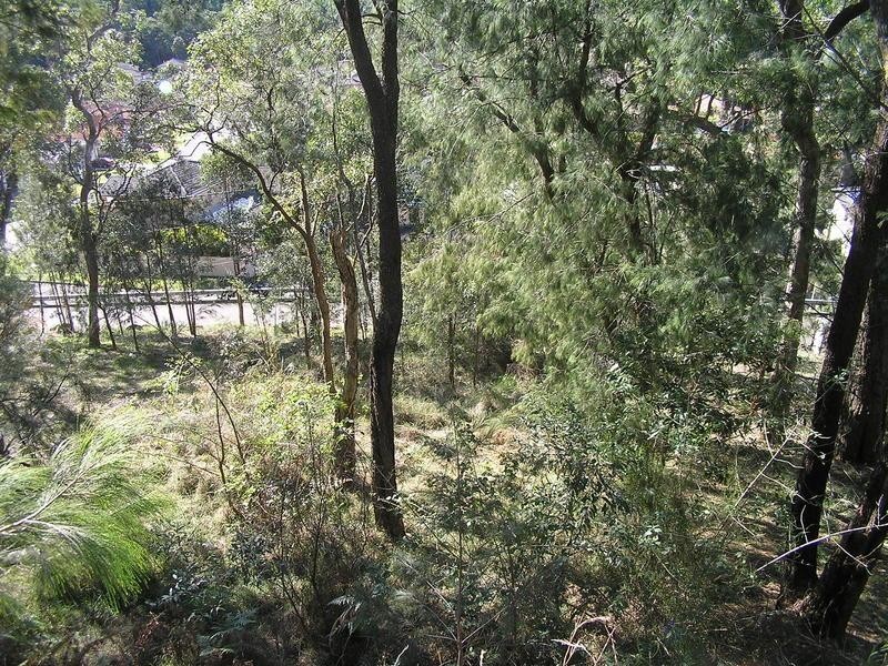 113 Neera Road, Umina Beach NSW 2257