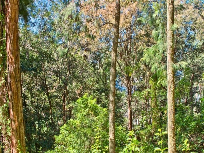 201 Phegans Bay Road, Phegans Bay NSW 2256