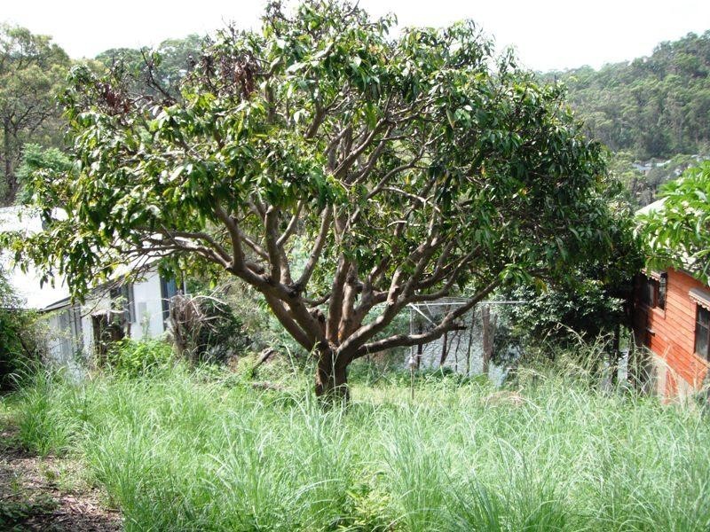 38 Horsfield Road, Horsfield Bay NSW 2256