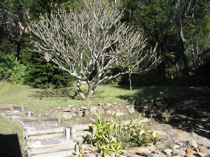 37 Daley Avenue, Daleys Point NSW 2257