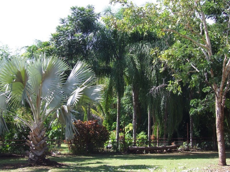 2299 Florina Road, Katherine NT 0850
