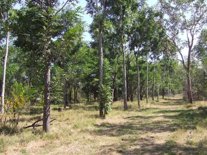 2299 Florina Road, Katherine NT 0850