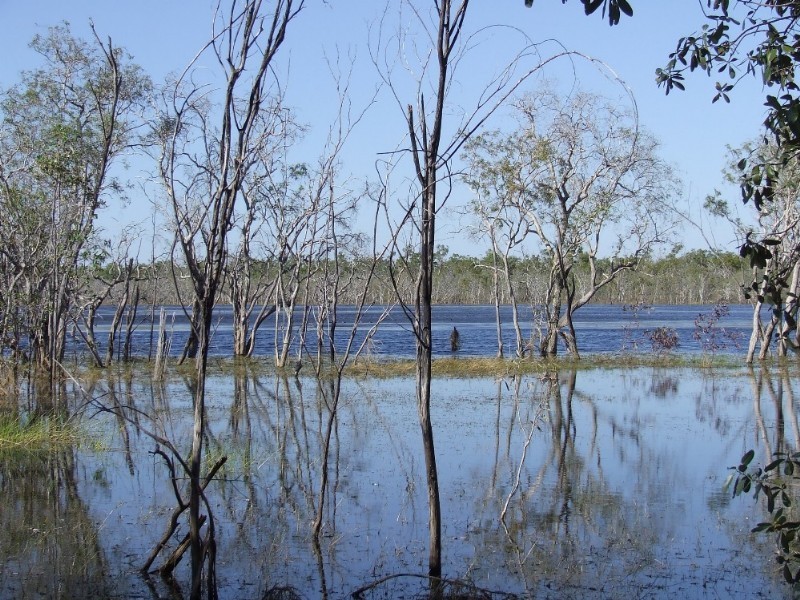 1116 & 4305 Florina Road, Katherine NT 0850