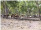 1116 & 4305 Florina Road, Katherine NT 0850