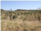 1116 & 4305 Florina Road, Katherine NT 0850