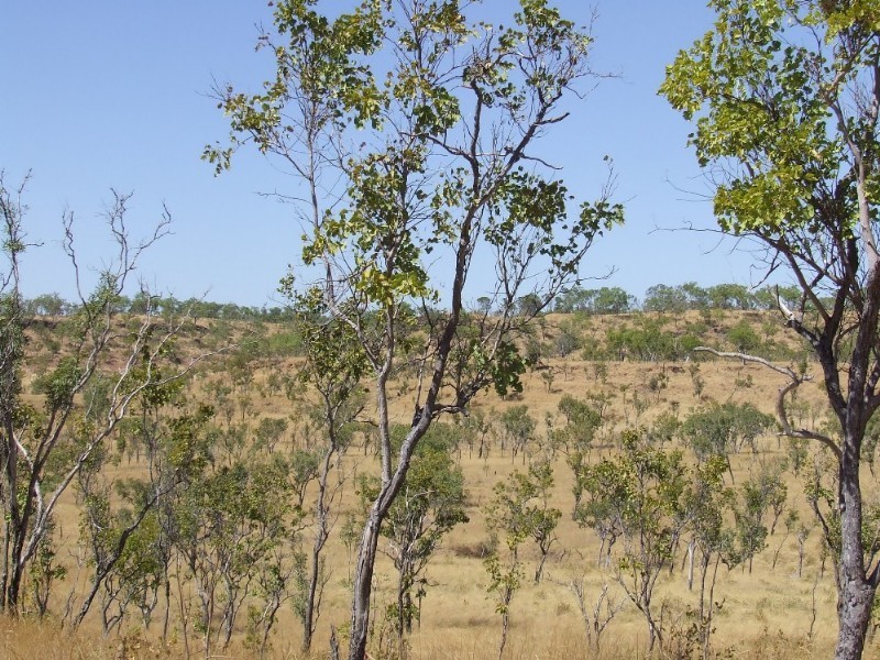 1116 & 4305 Florina Road, Katherine NT 0850