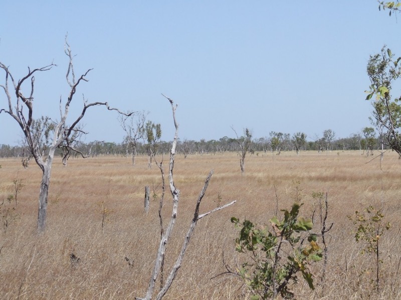 1116 & 4305 Florina Road, Katherine NT 0850