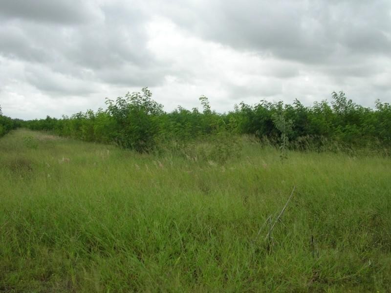 110,180 & 276 Fox Road, Katherine NT 0850