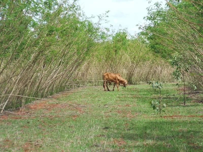 110,180 & 276 Fox Road, Katherine NT 0850