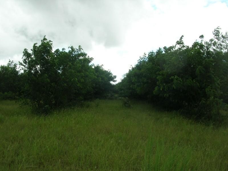 110,180 & 276 Fox Road, Katherine NT 0850