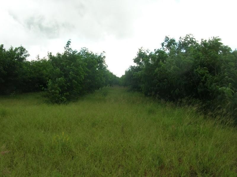 110,180 & 276 Fox Road, Katherine NT 0850