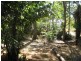 50 Cummings Road, Katherine NT 0850