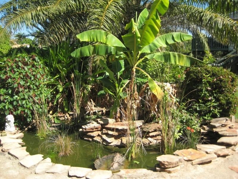 30 Cox Crescent, Katherine NT 0850
