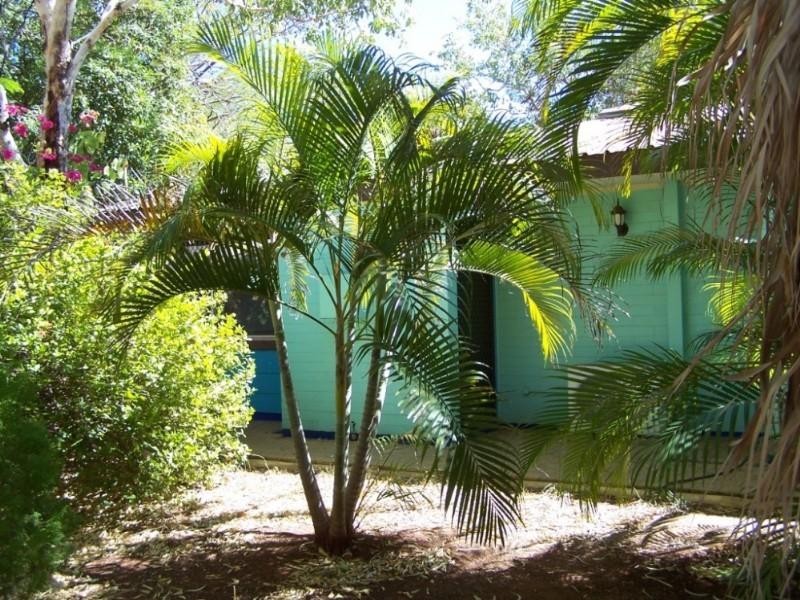 5 Frangipanni Court, Katherine NT 0850