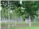 649 Gorge Road, Katherine NT 0850