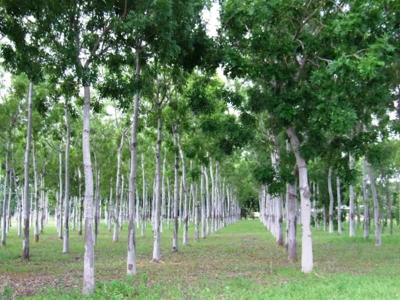 649 Gorge Road, Katherine NT 0850