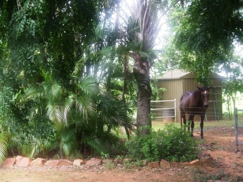 649 Gorge Road, Katherine NT 0850