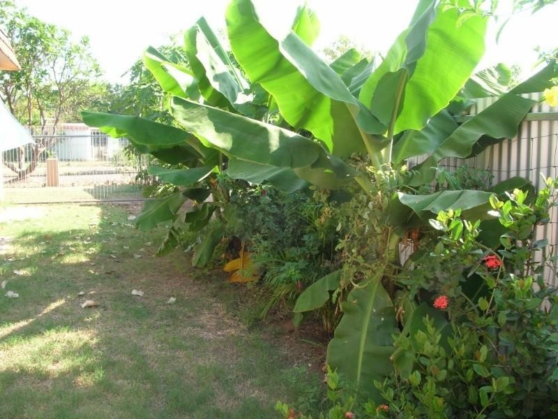 5 Tindal Street, Katherine NT 0850