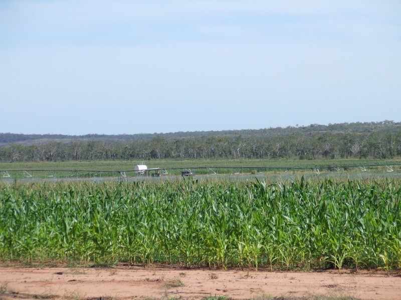 1347 Florina Road, Katherine NT 0850