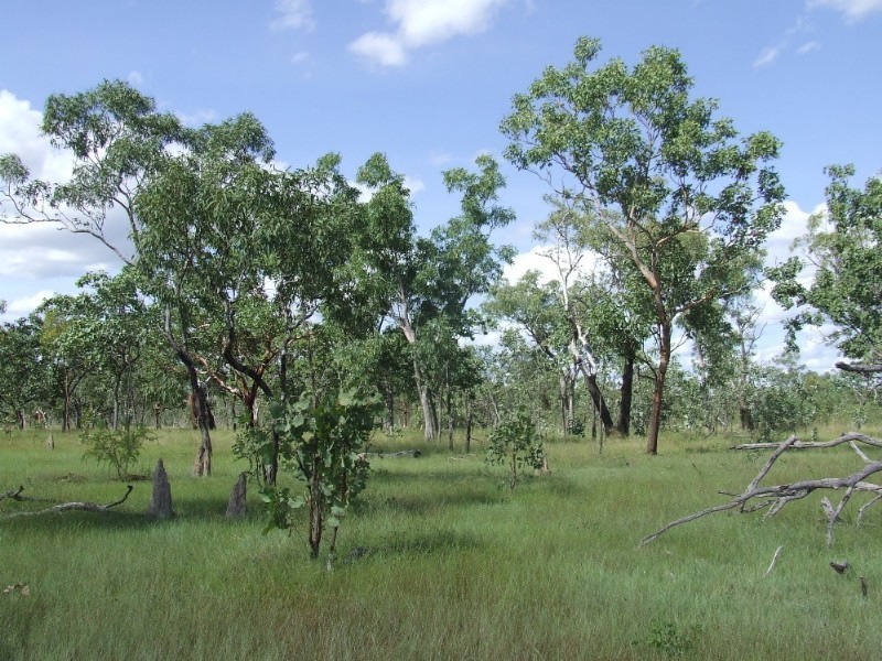 6208 Edith Farms Road, Katherine NT 0850