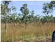 6208 Edith Farms Road, Katherine NT 0850