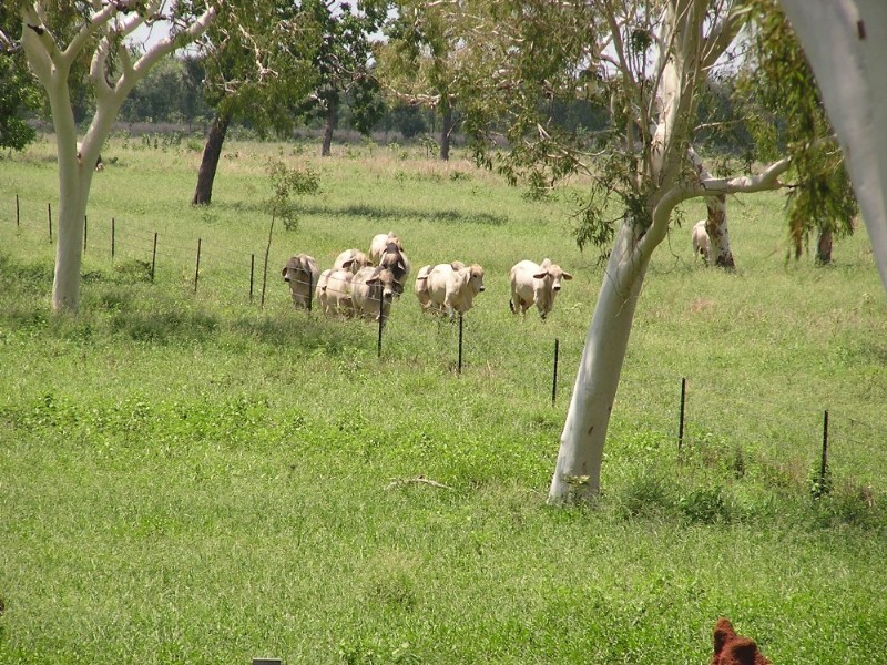 0 Stuart Highway, Katherine NT 0850