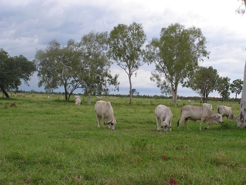 0 Stuart Highway, Katherine NT 0850