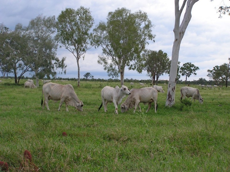 0 Stuart Highway, Katherine NT 0850