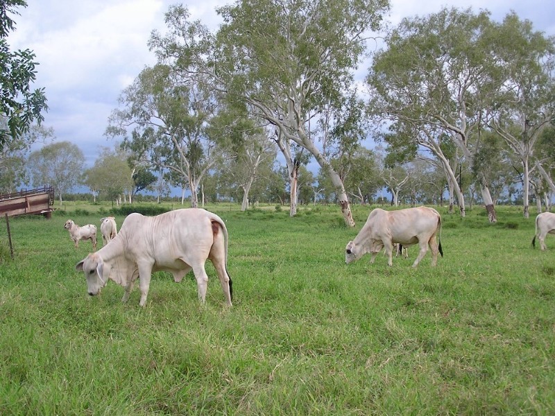 0 Stuart Highway, Katherine NT 0850