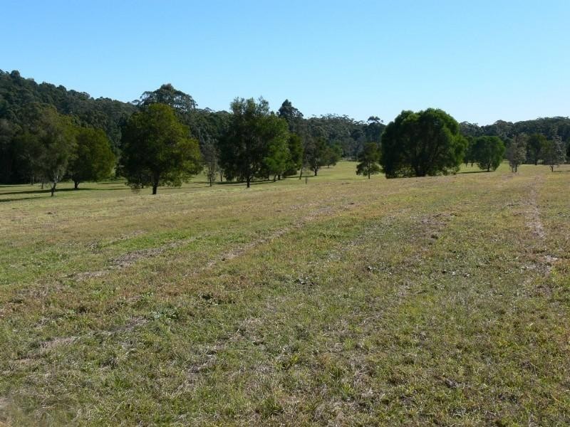 771 Bagotville Road, Meerschaum Vale NSW 2477