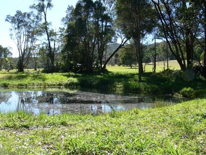 771 Bagotville Road, Meerschaum Vale NSW 2477