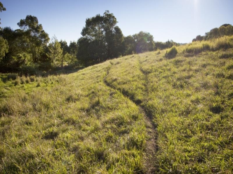 800 Marom Creek Road, Marom Creek NSW 2480