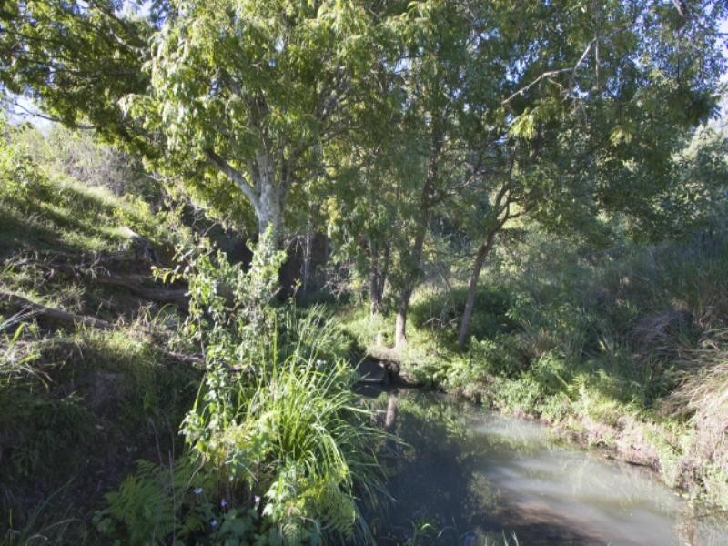 800 Marom Creek Road, Marom Creek NSW 2480