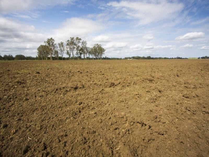 100 Perkins Bridge Road, Casino NSW 2470