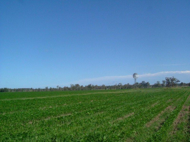 100 Perkins Bridge Road, Casino NSW 2470