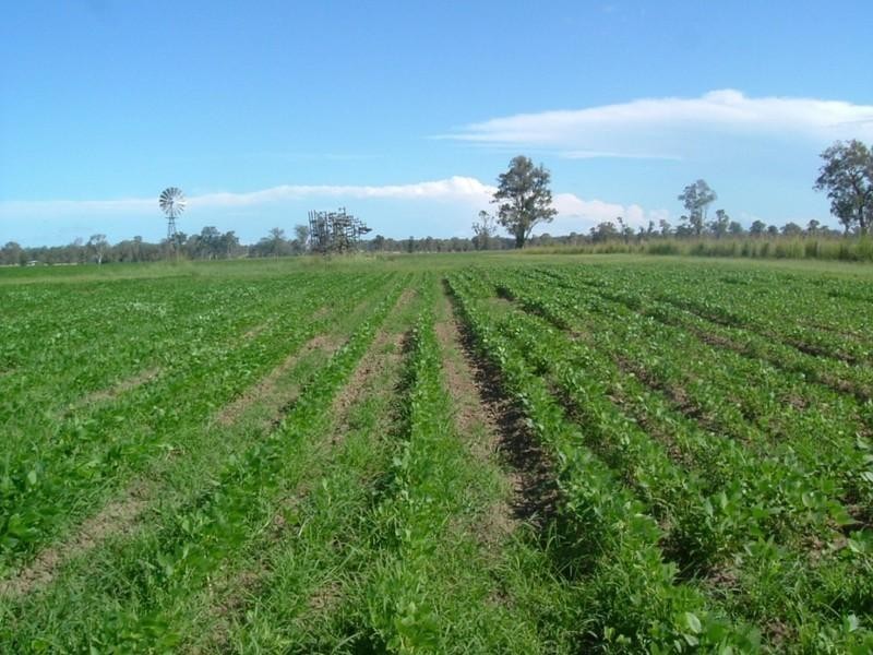 100 Perkins Bridge Road, Casino NSW 2470