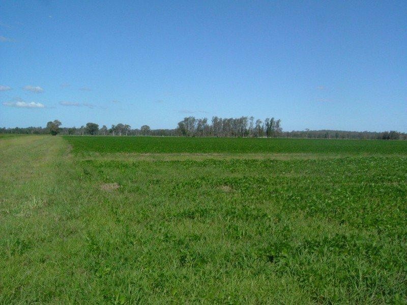 100 Perkins Bridge Road, Casino NSW 2470