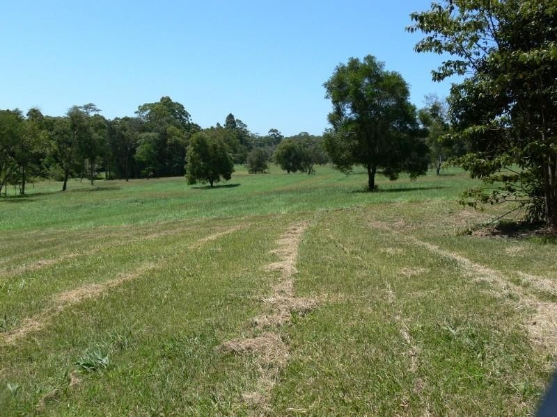 771 Bagotville Road, Meerschaum Vale NSW 2477