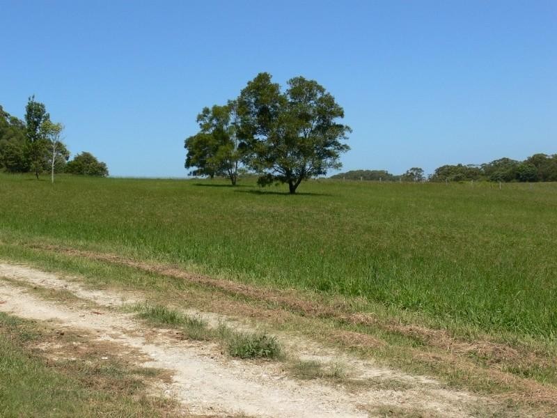 771 Bagotville Road, Meerschaum Vale NSW 2477