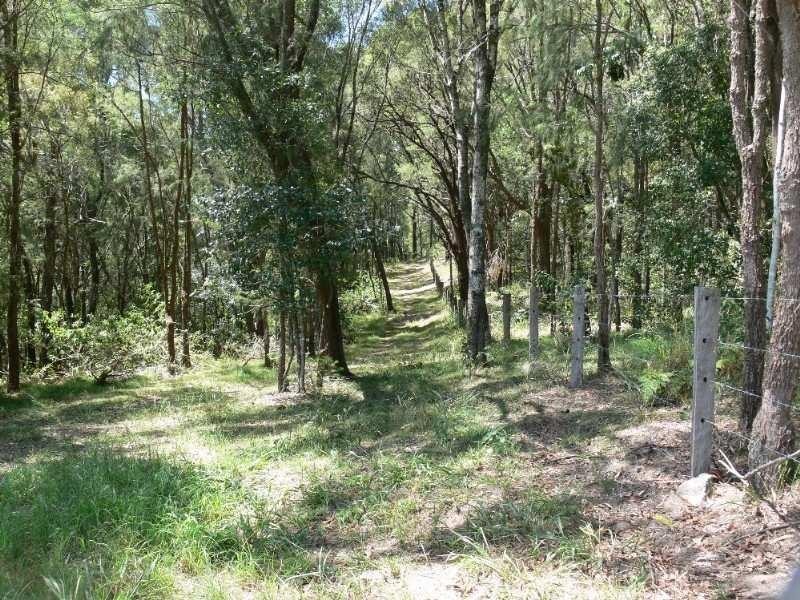 771 Bagotville Road, Meerschaum Vale NSW 2477