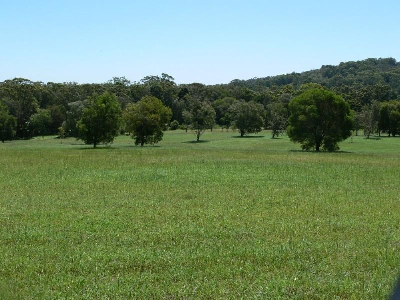 771 Bagotville Road, Meerschaum Vale NSW 2477